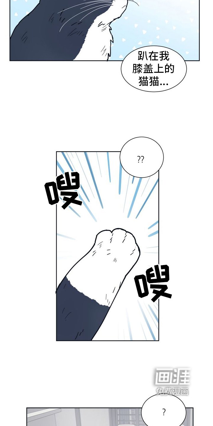 第6章：很像