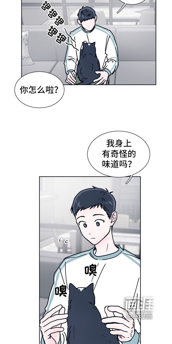 第6章：很像