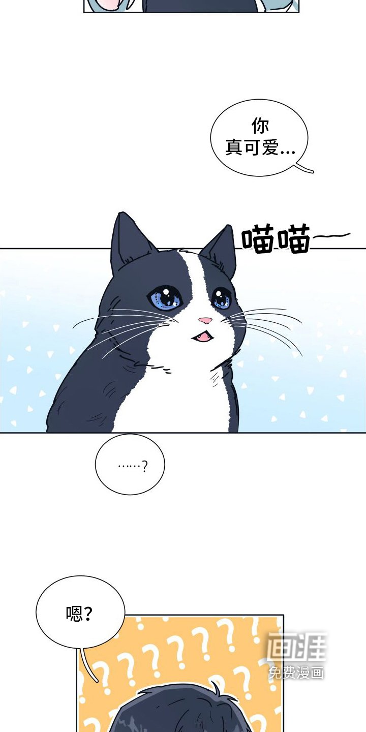 第6章：很像