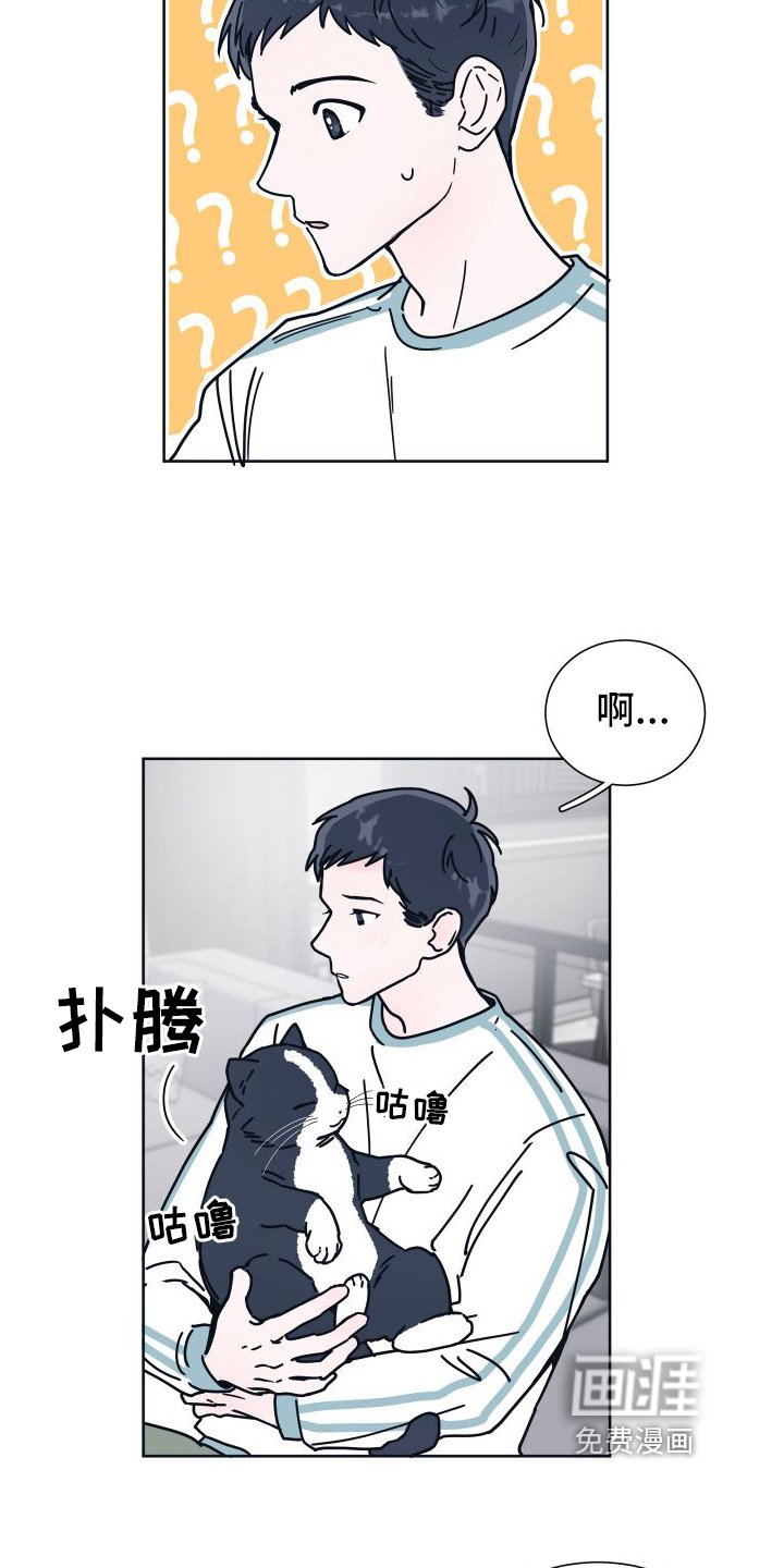第6章：很像