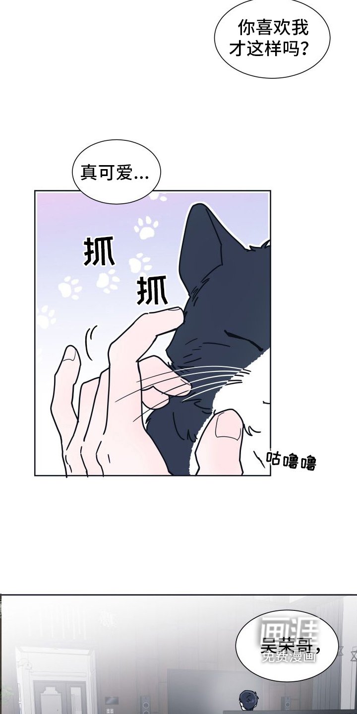 第6章：很像