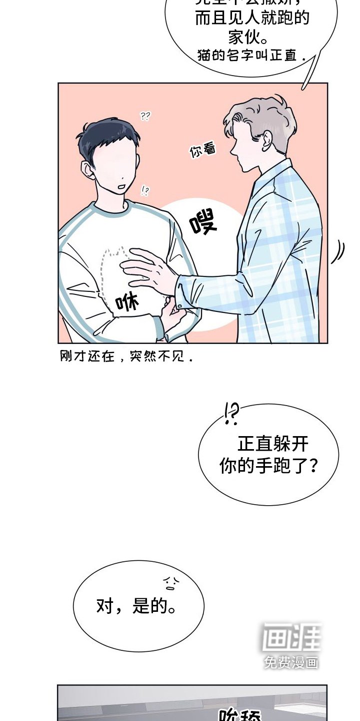 第6章：很像