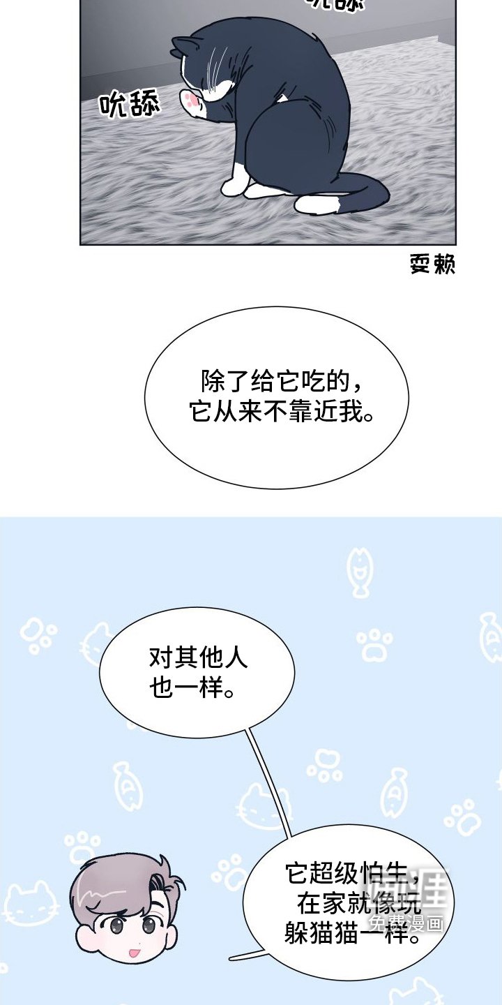 第6章：很像