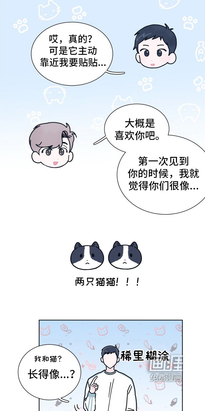第6章：很像