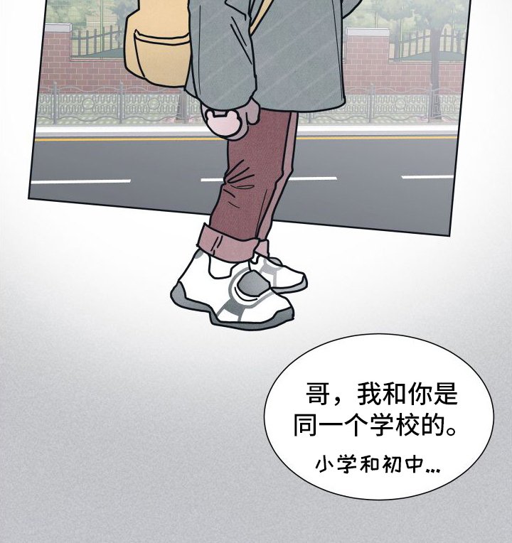 第7章：原因