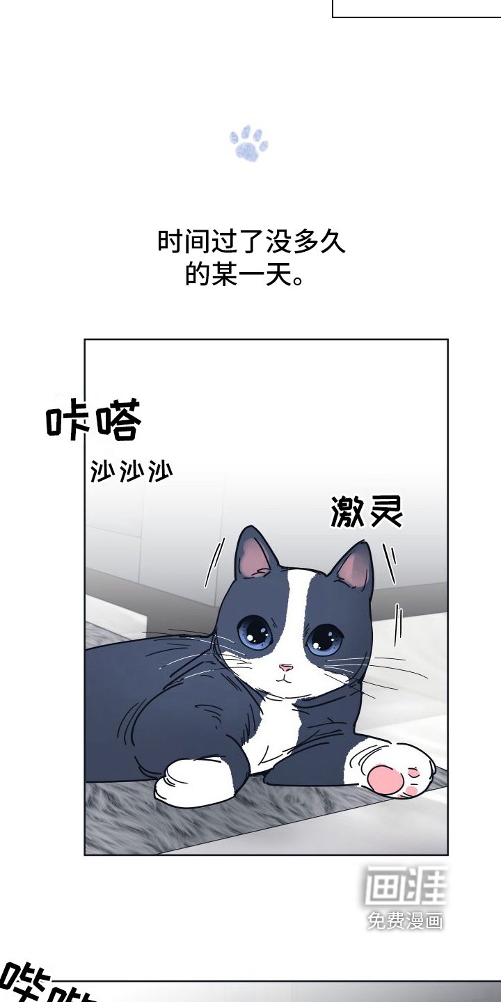 第8章：坠入爱河【完结】