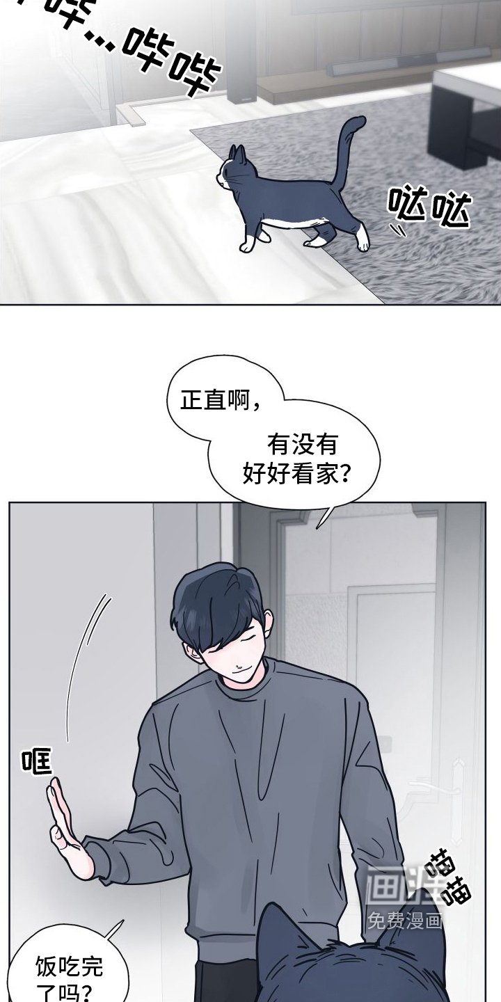第8章：坠入爱河【完结】