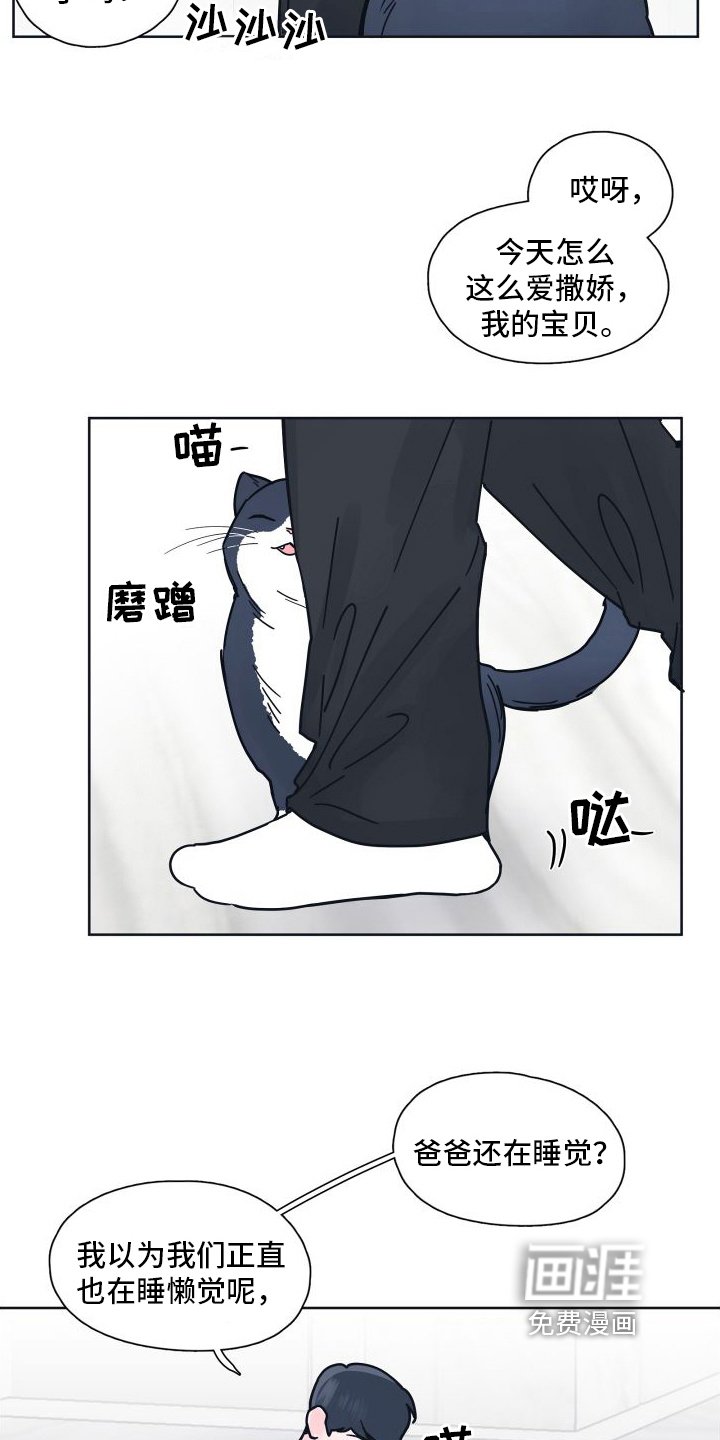 第8章：坠入爱河【完结】