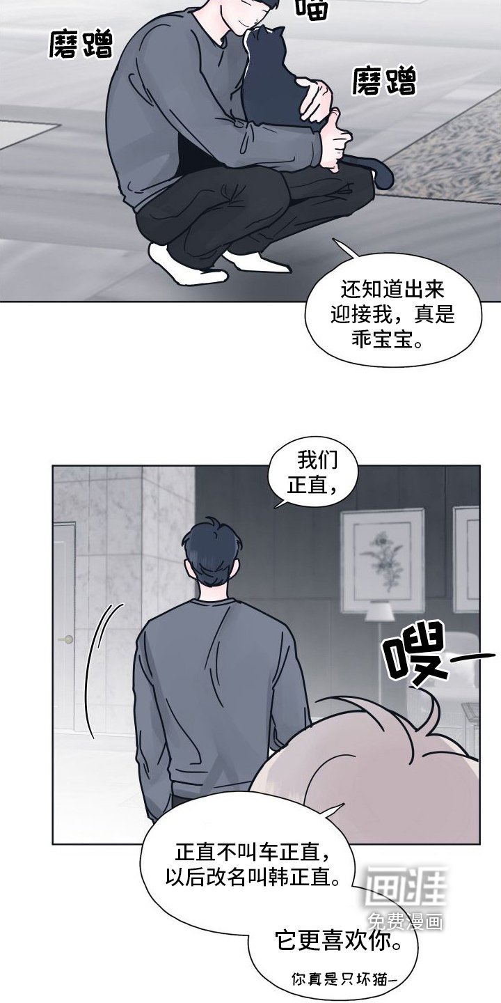 第8章：坠入爱河【完结】