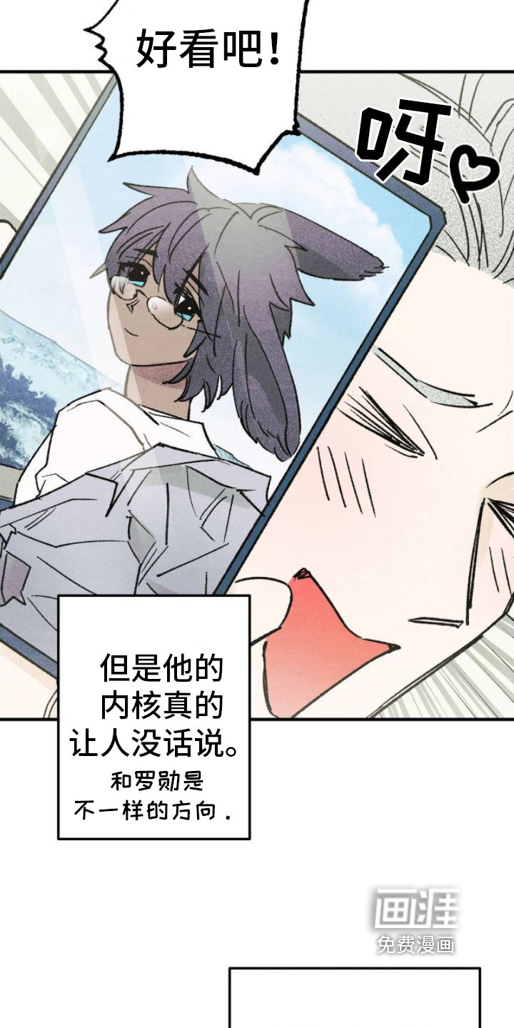 第17章：出手