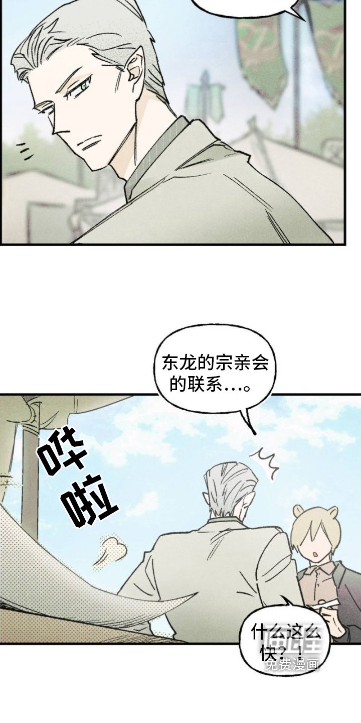 第17章：出手