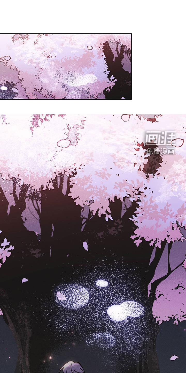 第18章：樱花节