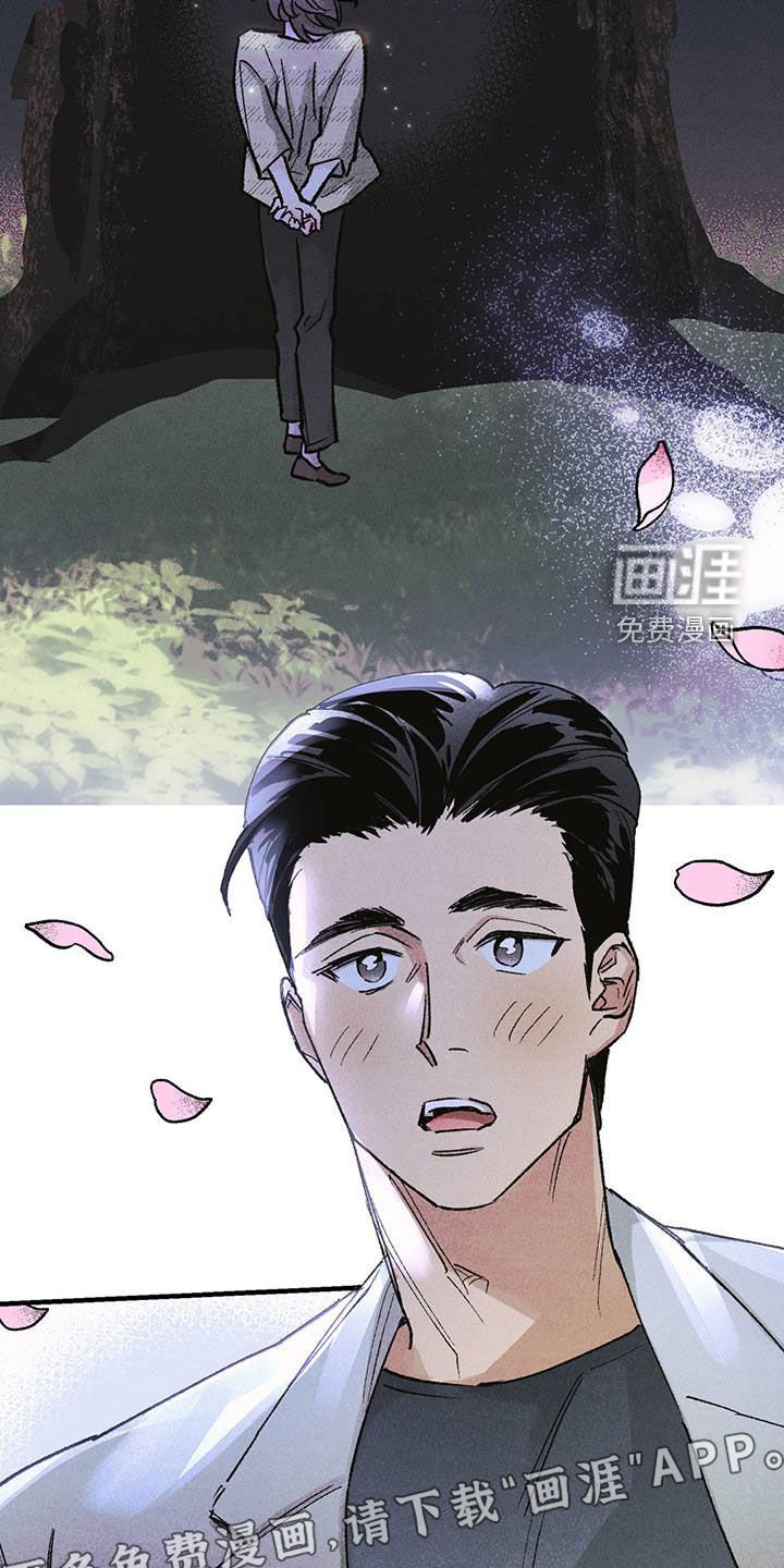 第18章：樱花节
