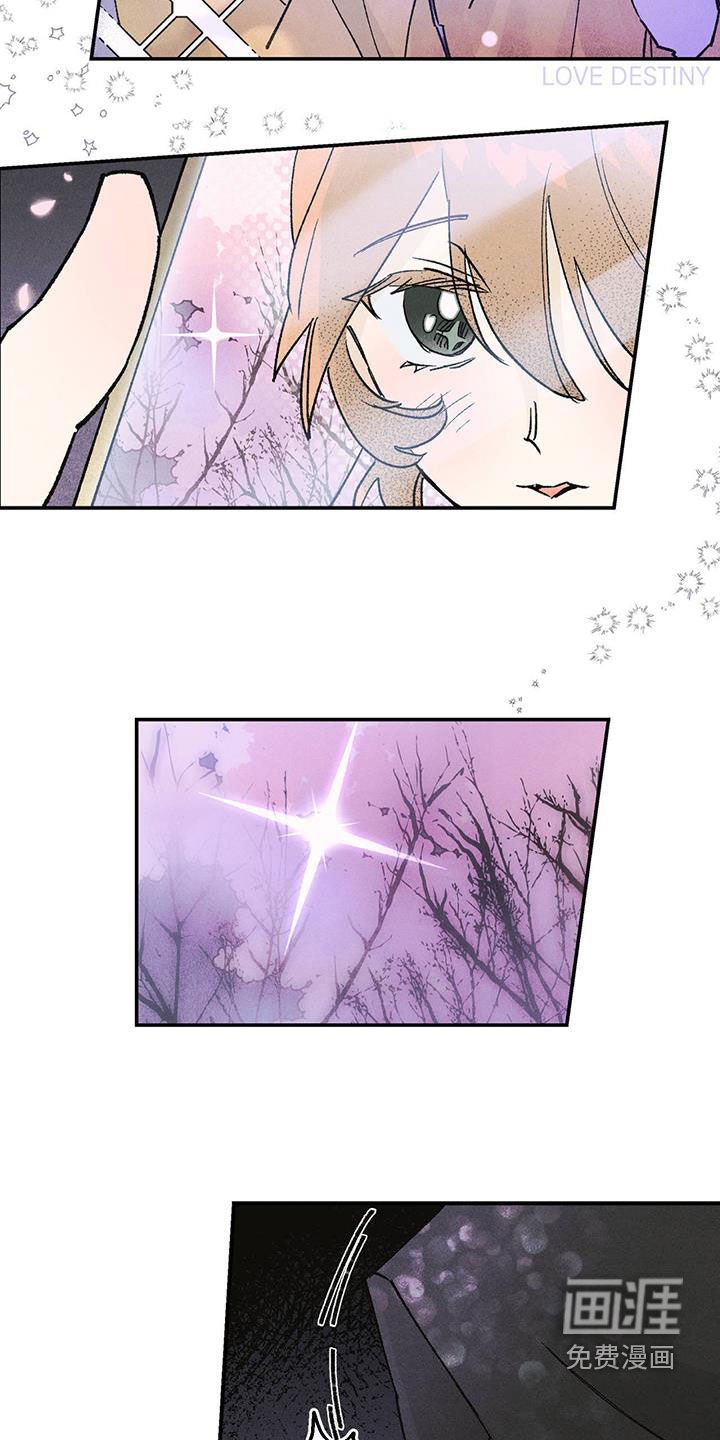 第21章：老人家