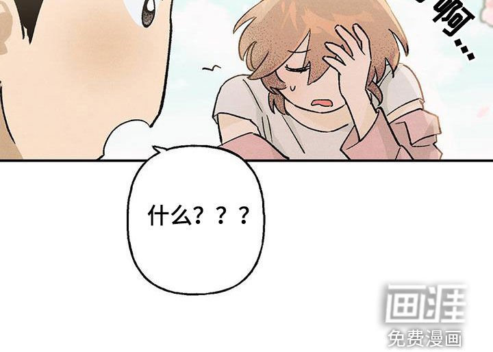 第25章：蛋糕