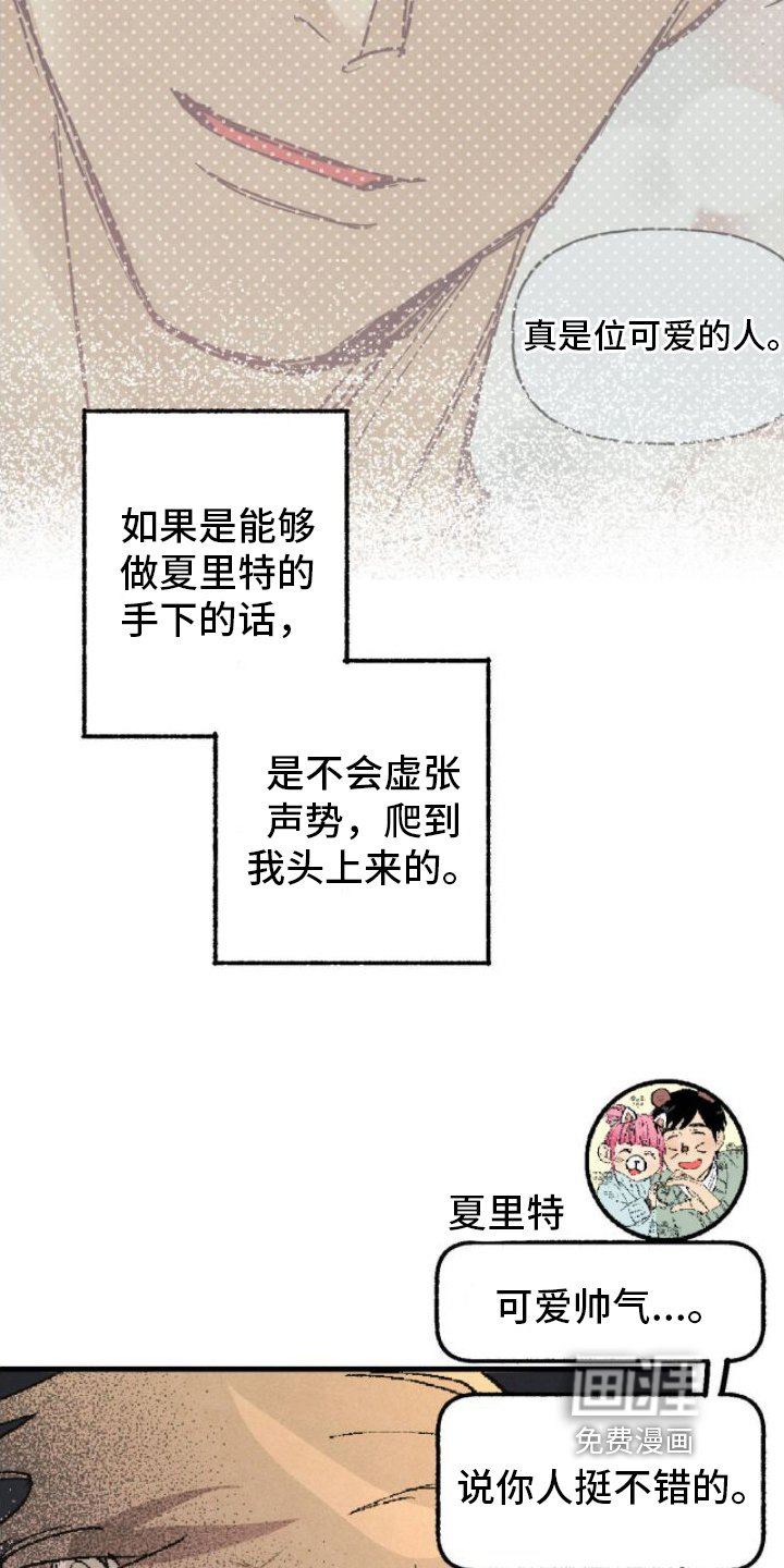 第5章：完美