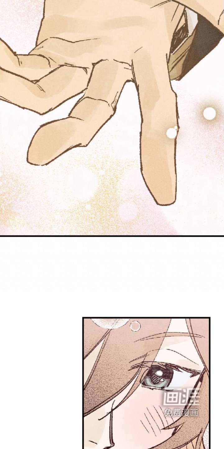 第5章：完美