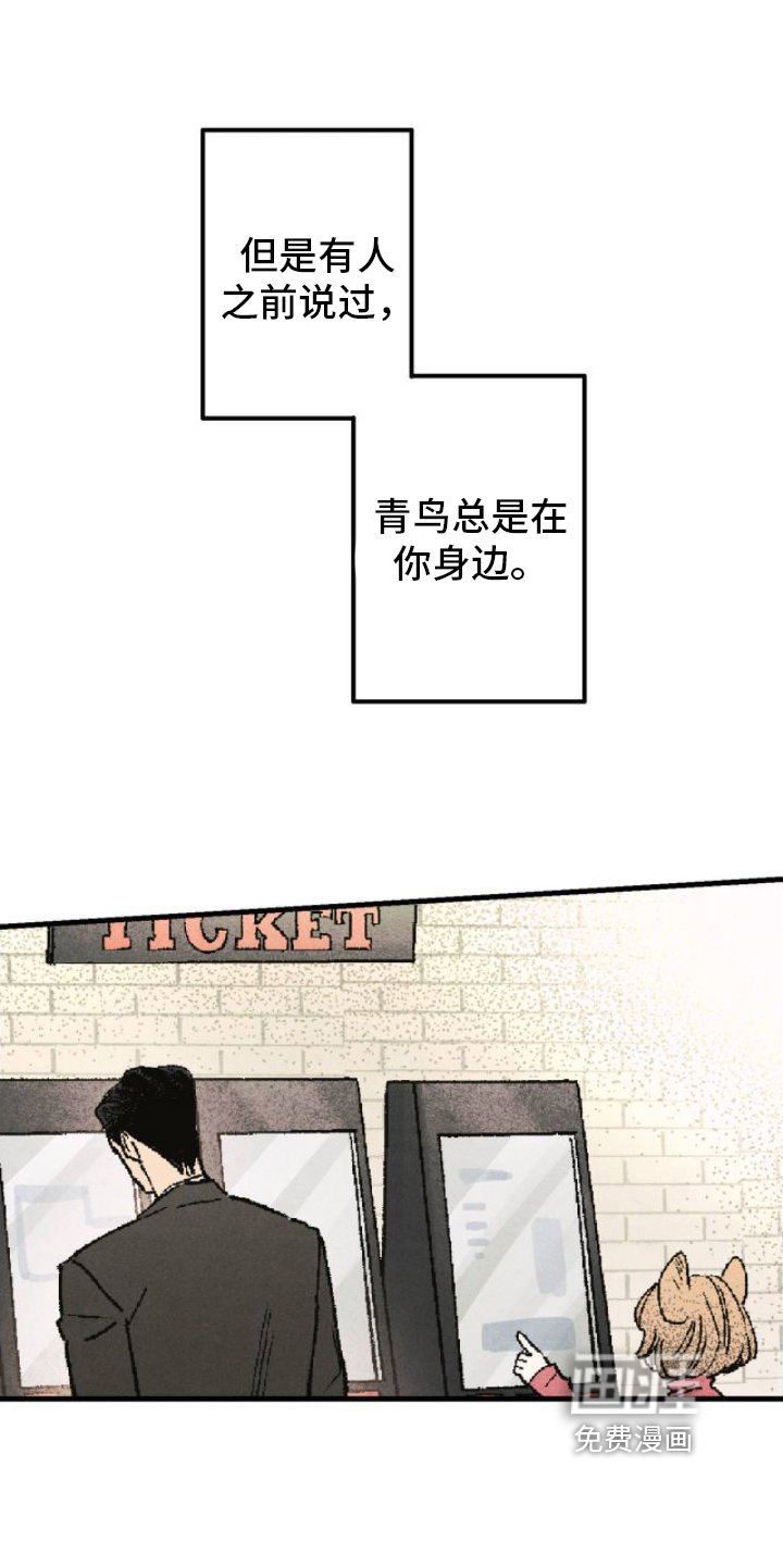 第7章：看电影