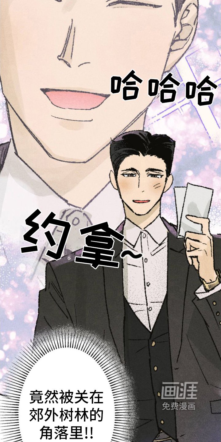 第7章：看电影