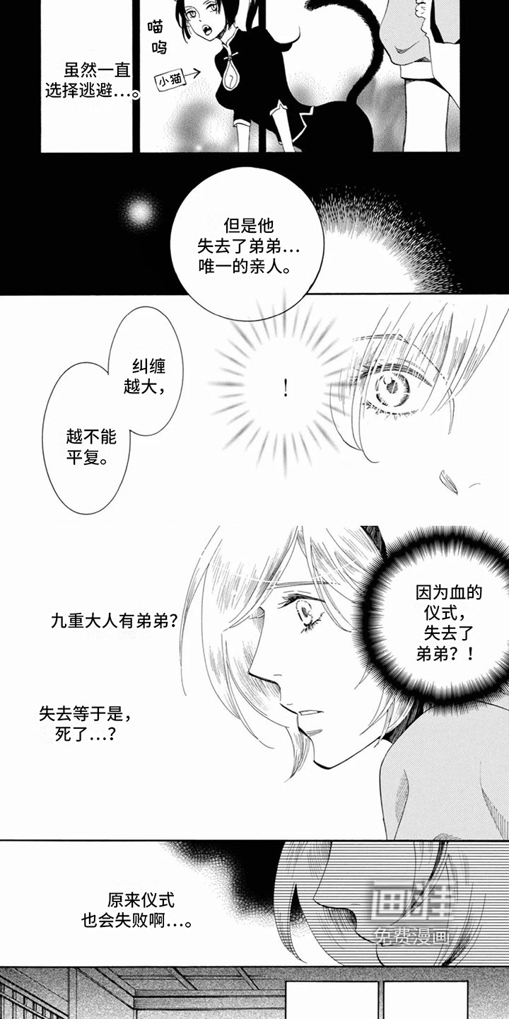 第20章：我的答案