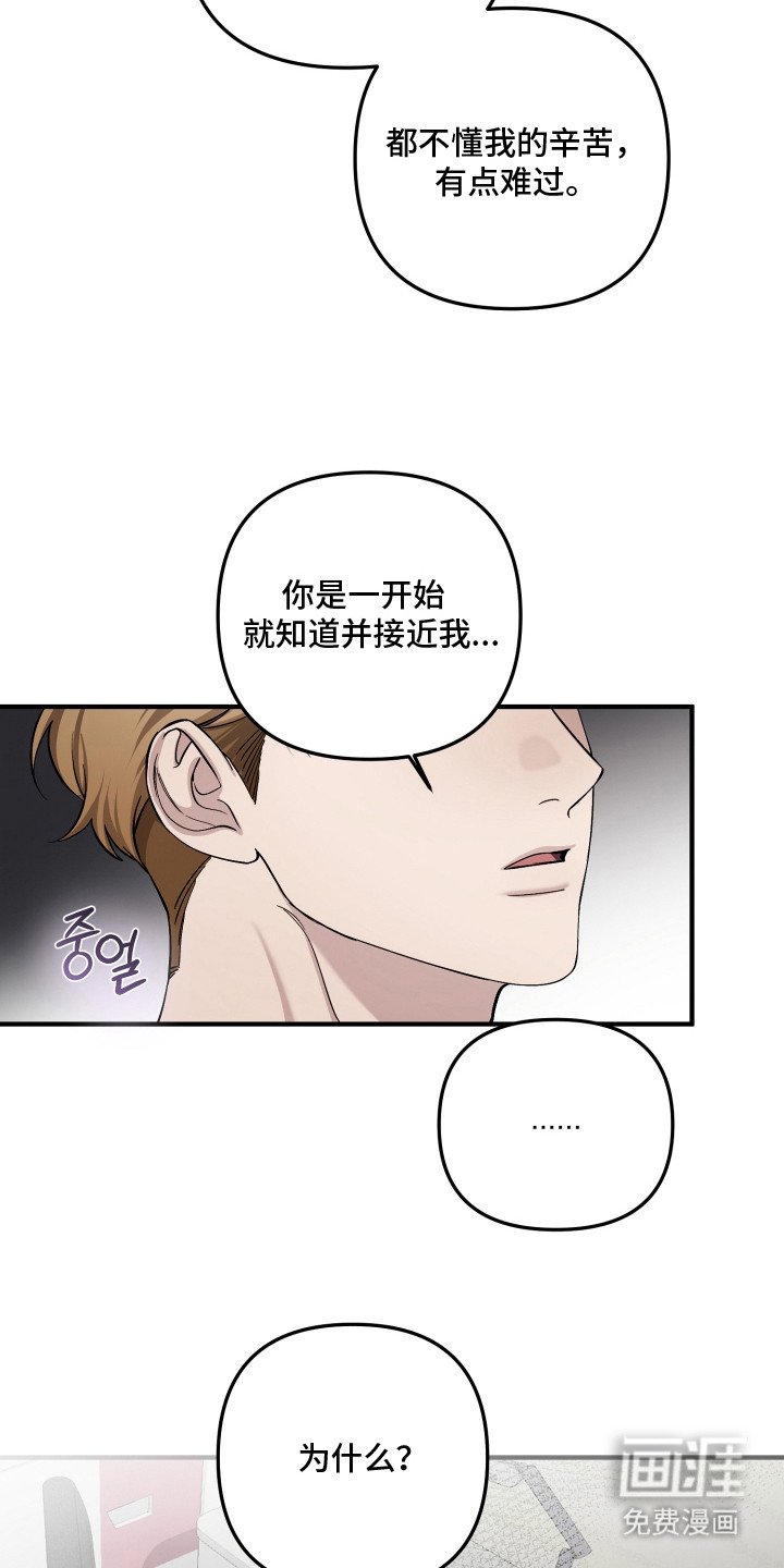 第13章：毕业相册