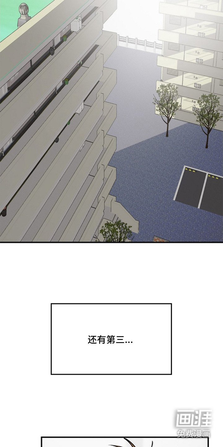 第3章：喜好相似