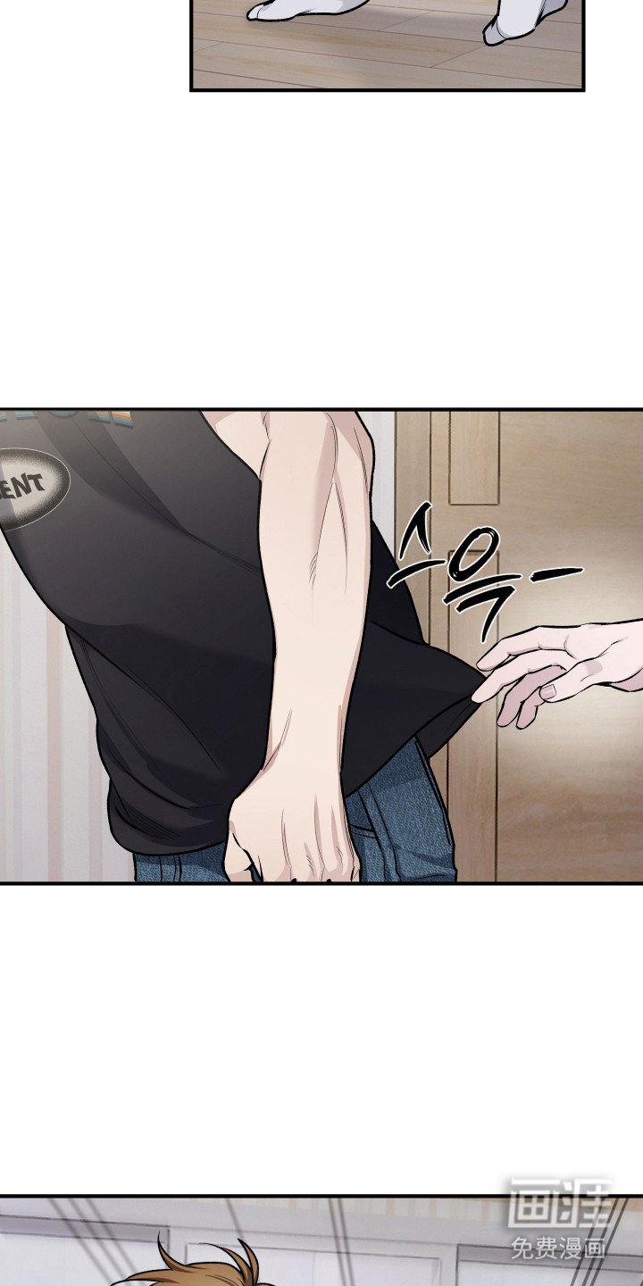 第3章：喜好相似