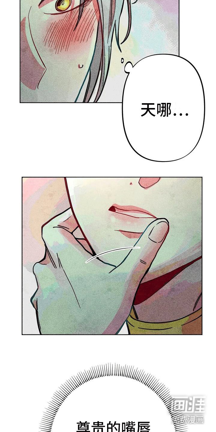 第17章：触碰