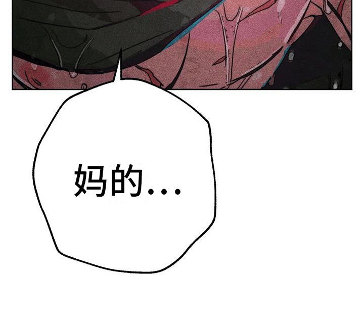 第22章：偶遇