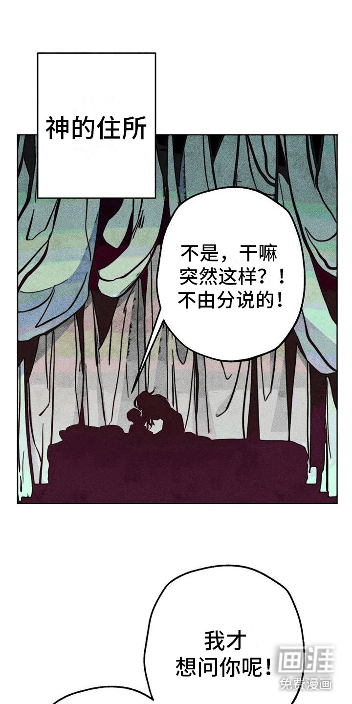 第26章：疯狂