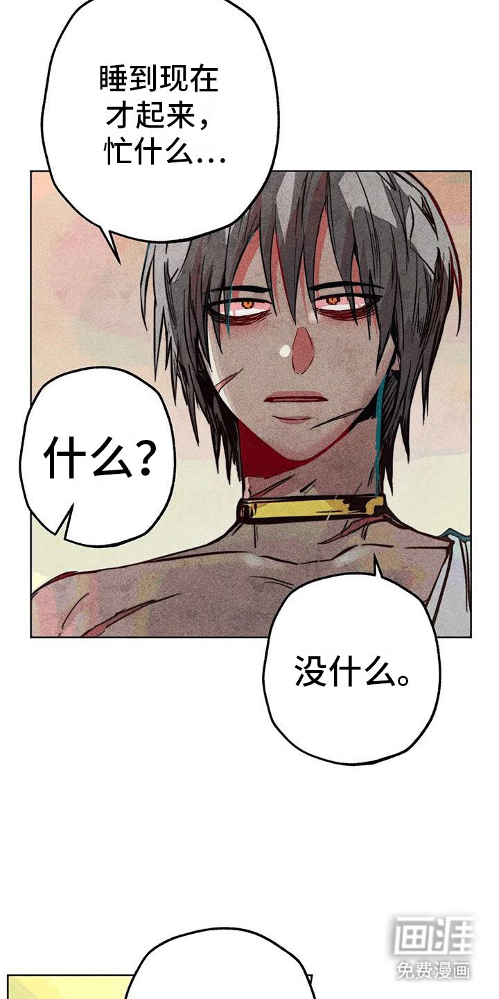 第28章：偷看