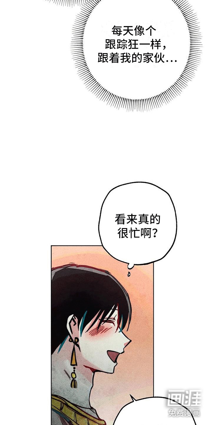 第28章：偷看