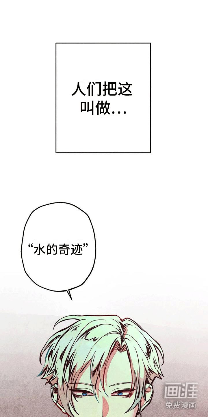第29章：暗恋