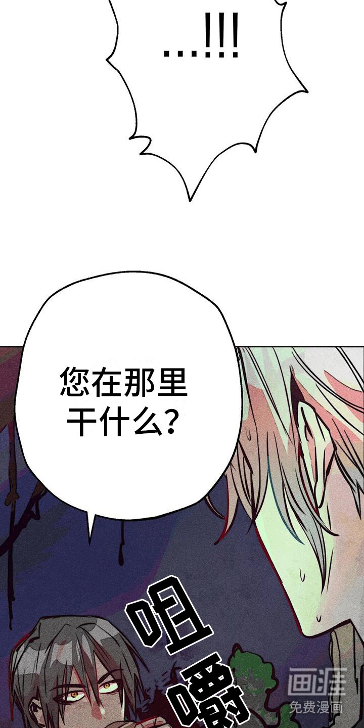 第40章：庭院