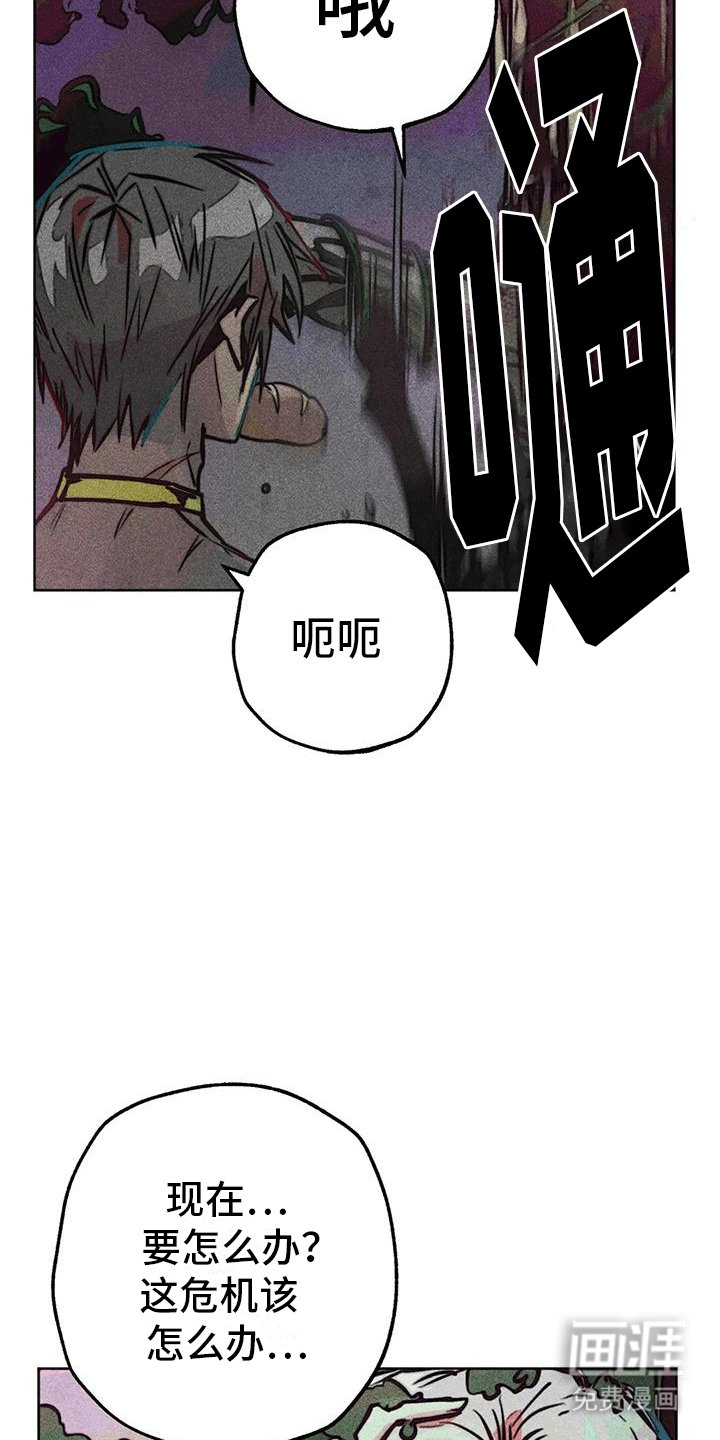 第41章：回家