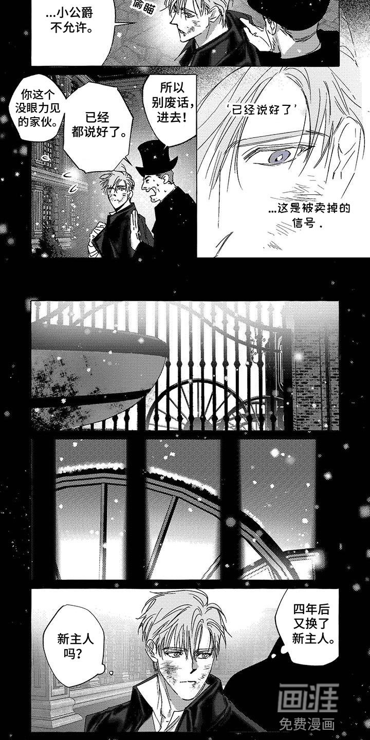 第17章：新主人