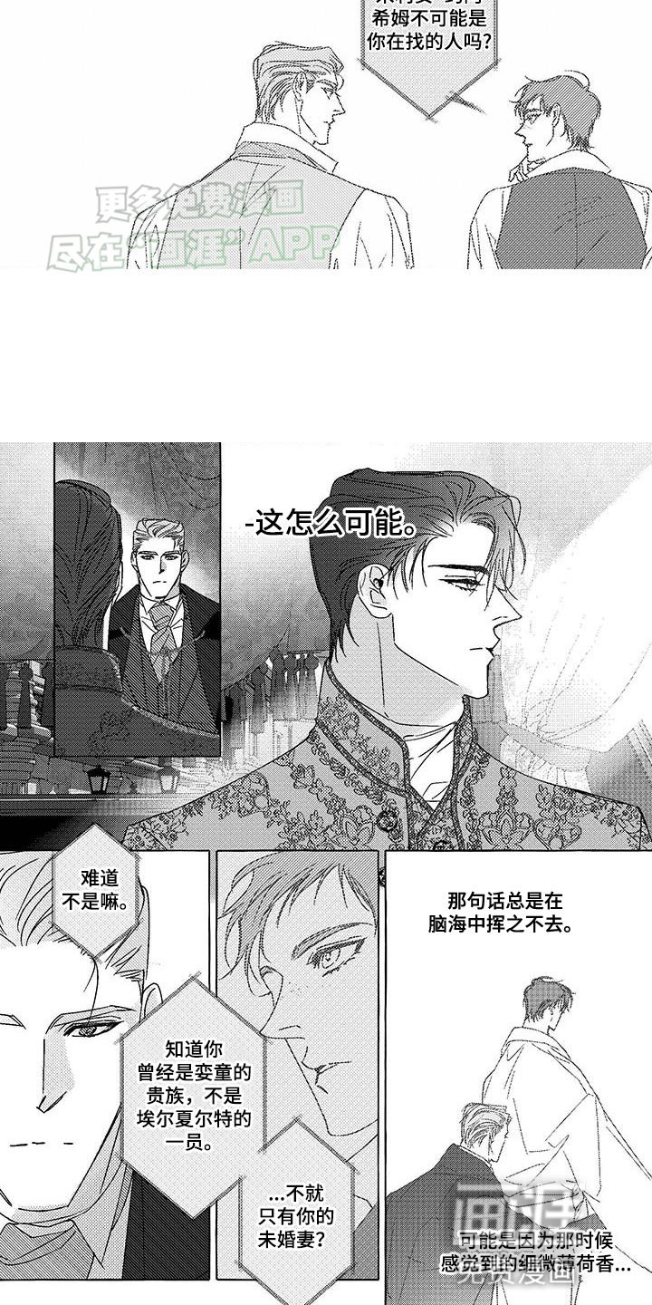 第21章：经历