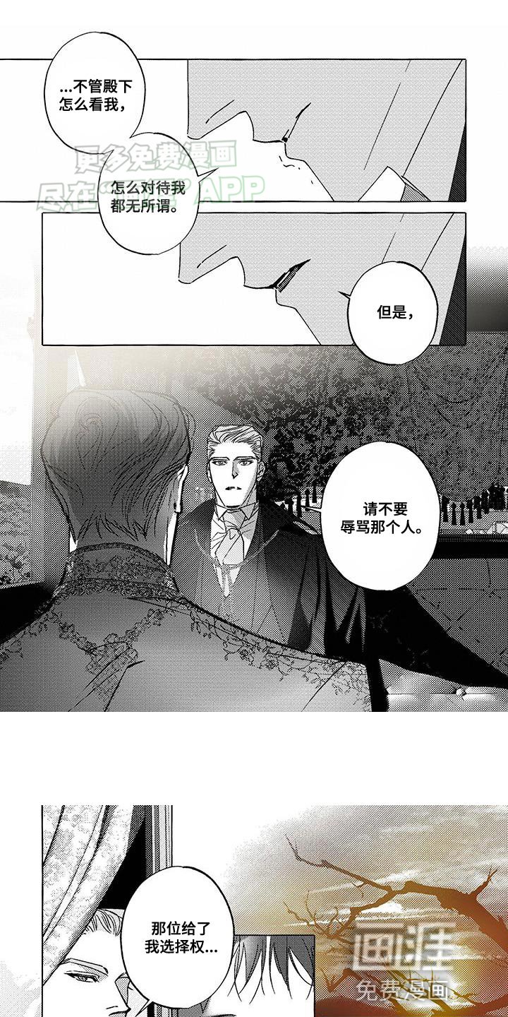 第22章：选择