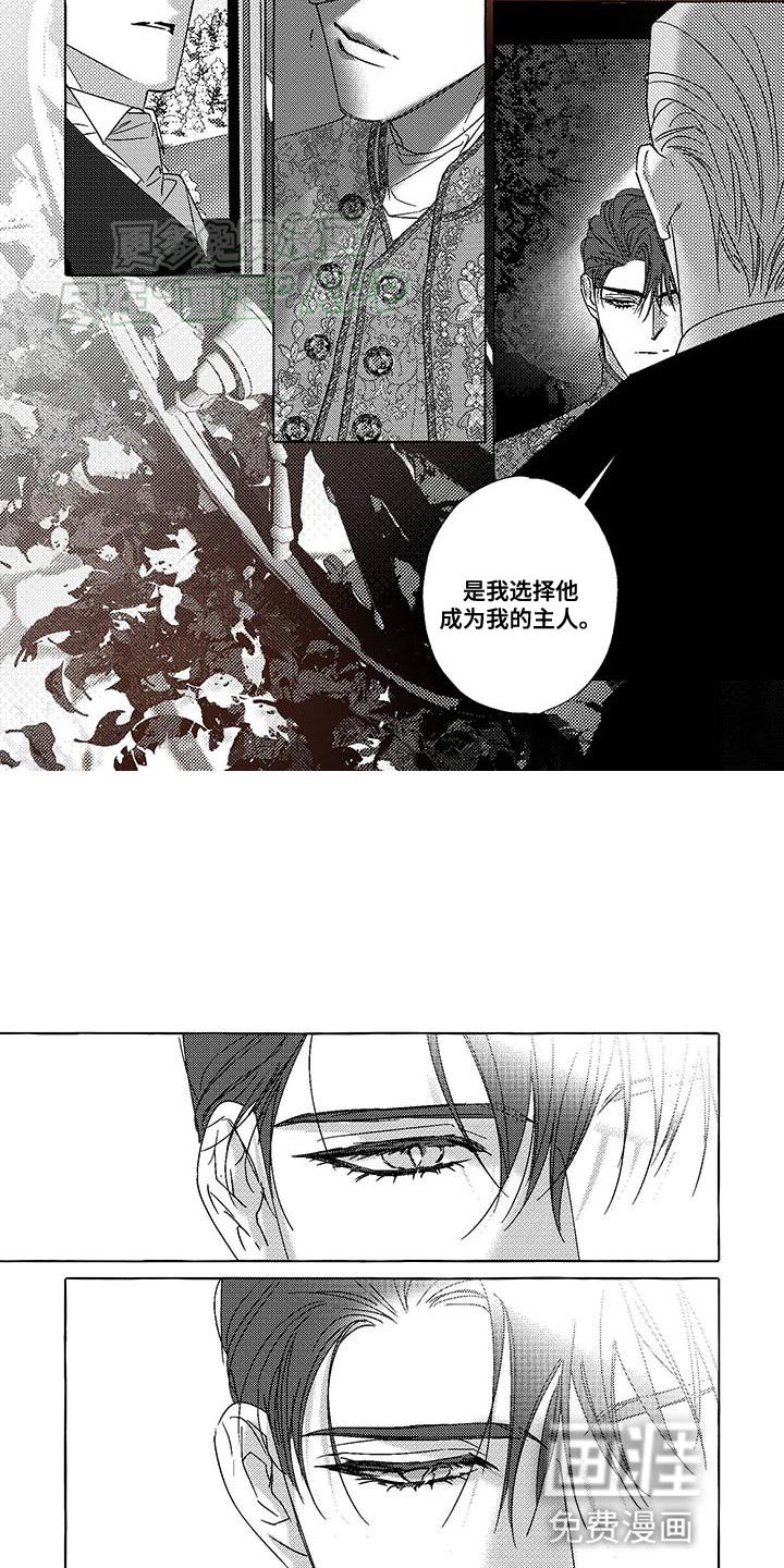 第22章：选择