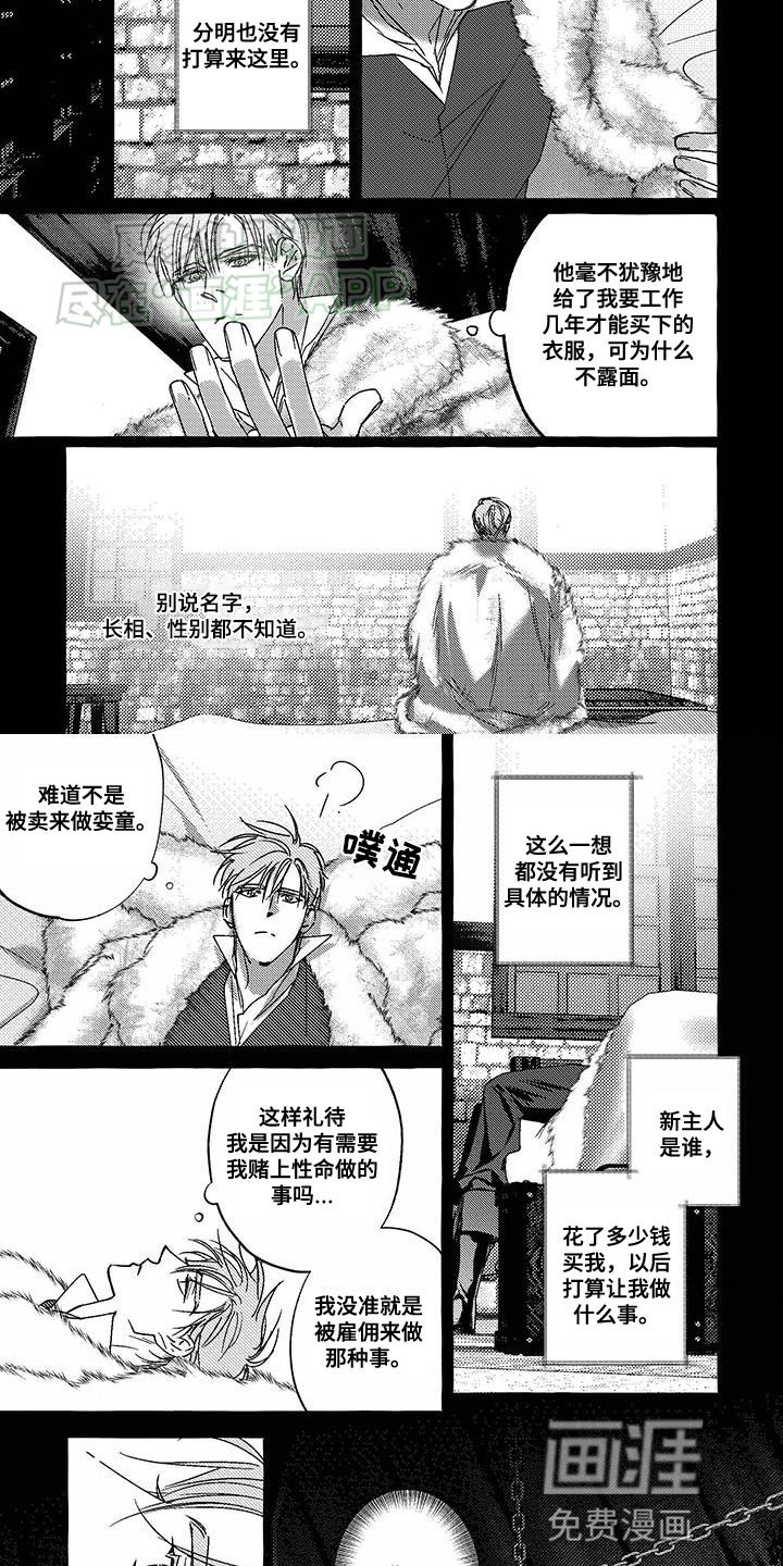 第23章：我全都知道