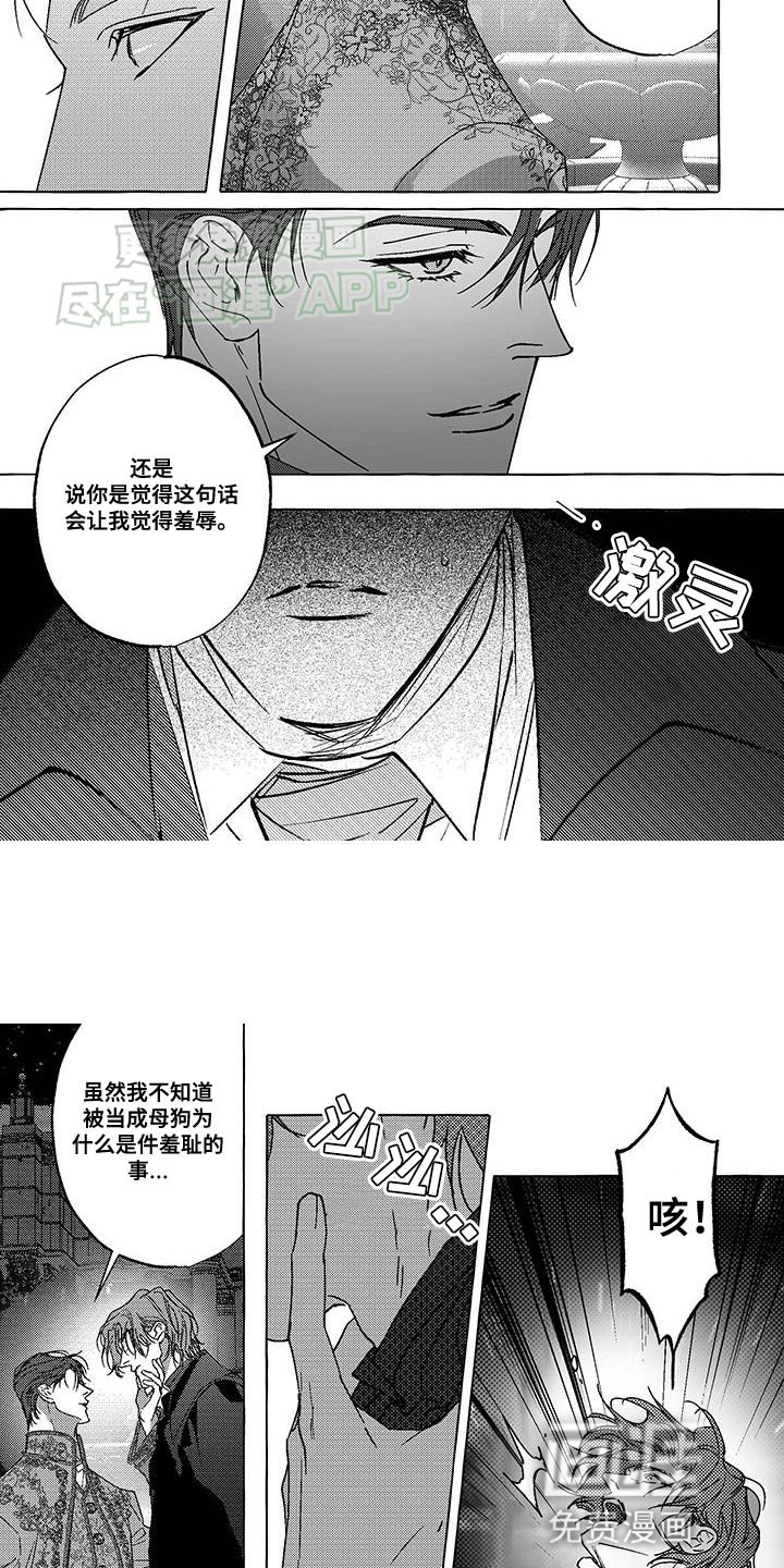 第26章：严重的侮辱