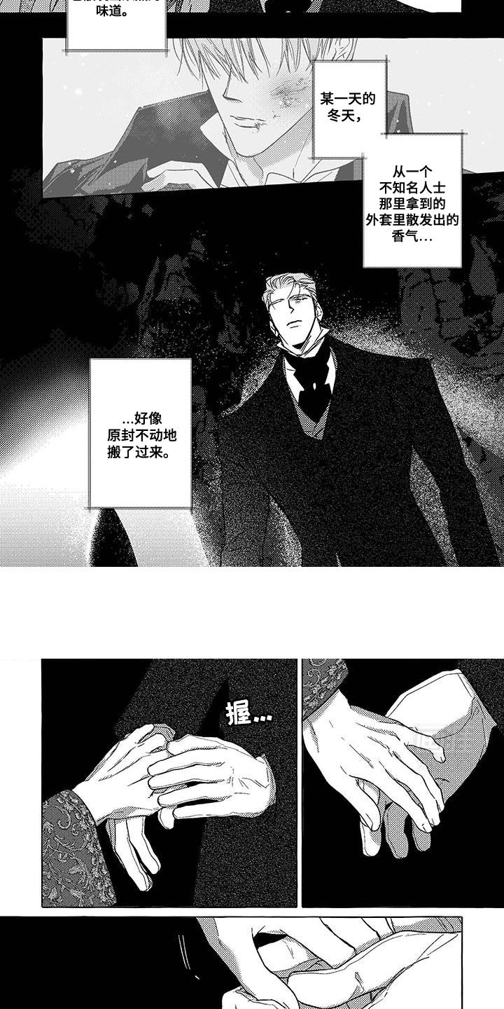 第41章：我习惯了黑暗
