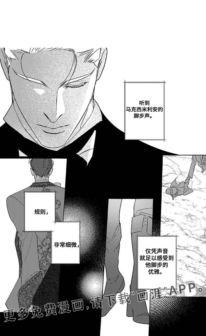 第41章：我习惯了黑暗