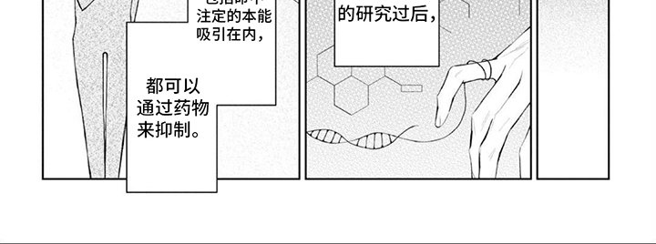 第1章：桐矢药局