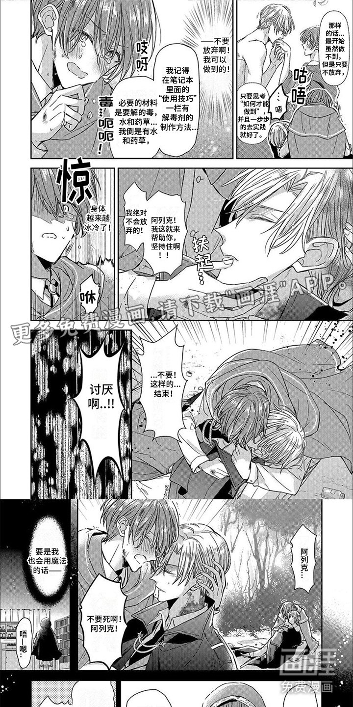 第11章：光芒