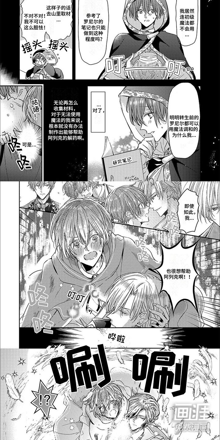 第11章：光芒