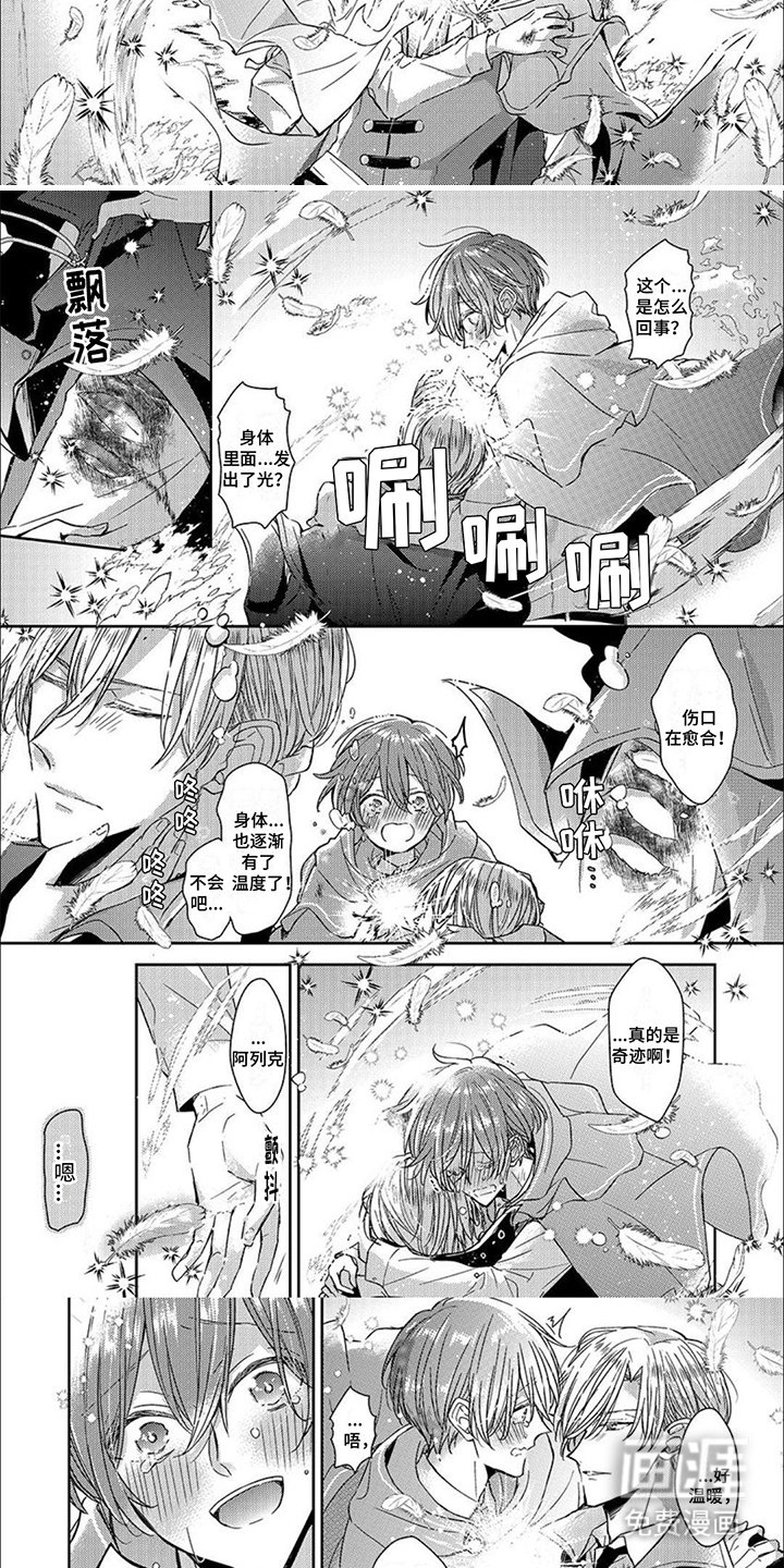 第11章：光芒