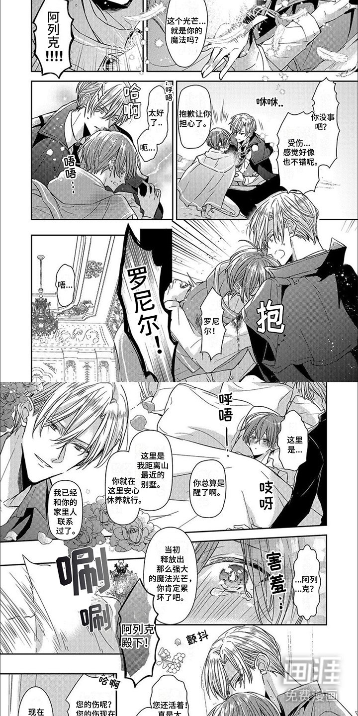 第11章：光芒