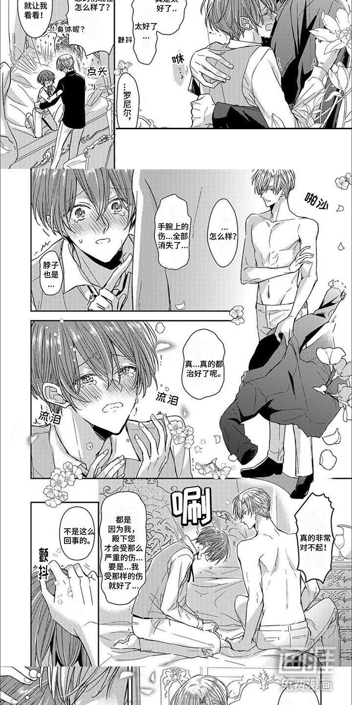第11章：光芒