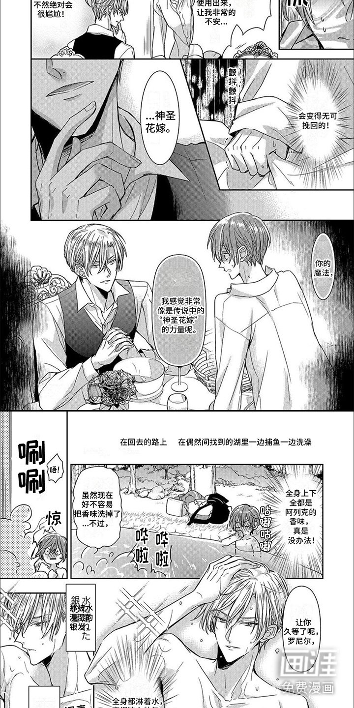 第12章：神圣花嫁